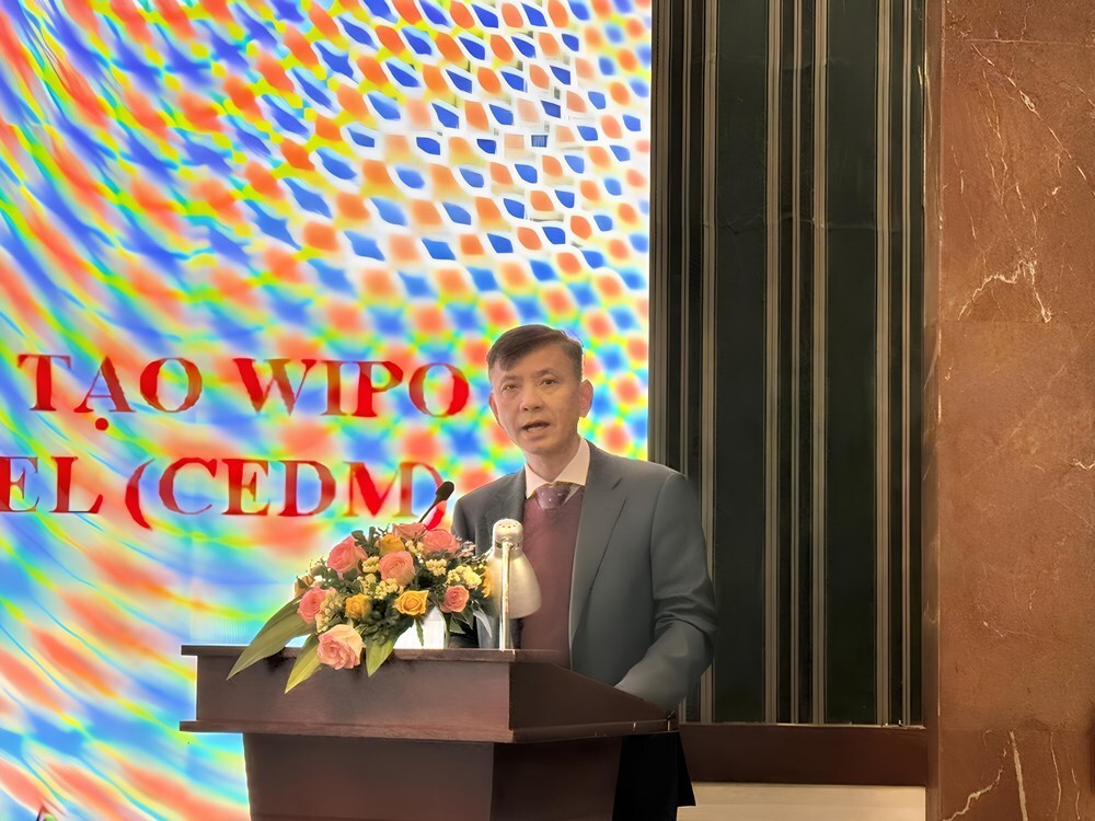 Nghiên cứu mô hình dữ liệu kinh tế sáng tạo WIPO, thúc đẩy phát triển công nghiệp văn hóa tại Việt Nam - ảnh 1