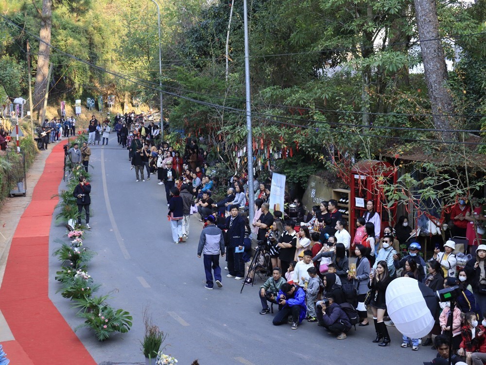 Lâm Đồng sẽ có nhiều cơ hội phát triển nền công nghiệp văn hóa sau sáp nhập - ảnh 6