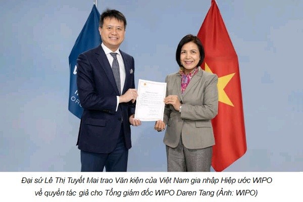 Bảo vệ bản quyền trên môi trường số - ảnh 3
