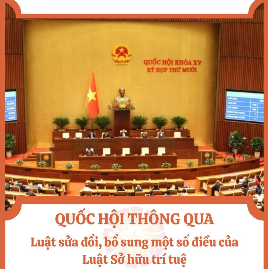 Quốc hội thông qua Luật sửa đổi, bổ sung một số điều của Luật Sở hữu trí tuệ - ảnh 1