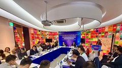 Bảo vệ bản quyền game Việt Nam - Hàn Quốc, vấn đề chính sách và thực thi