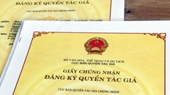 Giấy chứng nhận đăng ký quyền tác giả, Giấy chứng nhận đăng ký quyền liên quan được cấp đổi trong trường hợp nào?