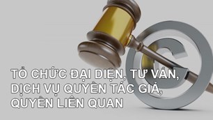 Tổ chức đại diện, tư vấn, dịch vụ quyền tác giả, quyền liên quan