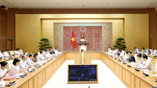 Đấu tranh chống xâm phạm quyền sở hữu trí tuệ đạt kết quả tích cực