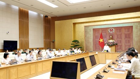 Hội nghị sơ kết tình hình thực hiện Công điện 38/CĐ-TTg ngày 5/5/2026 của Thủ tướng Chính phủ