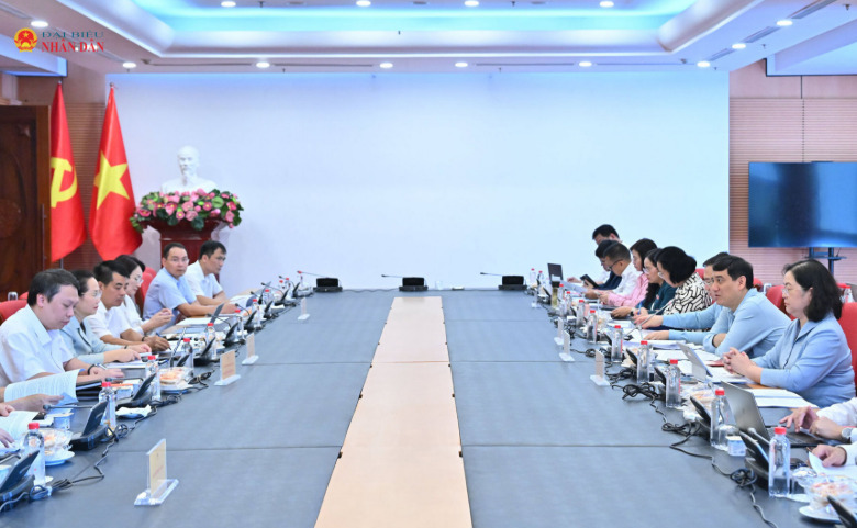 Thẩm tra sơ bộ dự án Luật Phát triển công nghiệp văn hóa